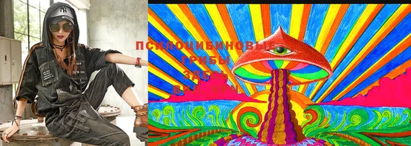 каннабис Баксан