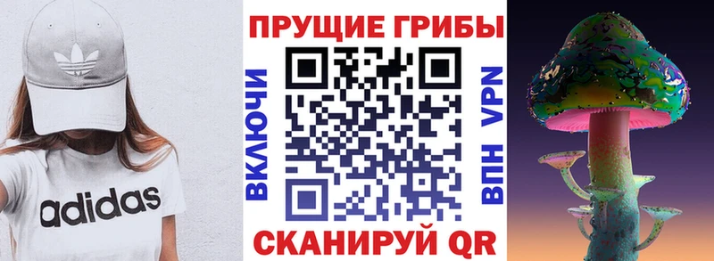 Псилоцибиновые грибы Magic Shrooms  Сольвычегодск 